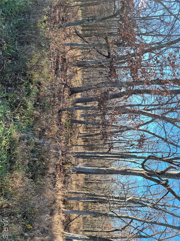 0 County Road 197 - Tract 9 (16+/- Acres)