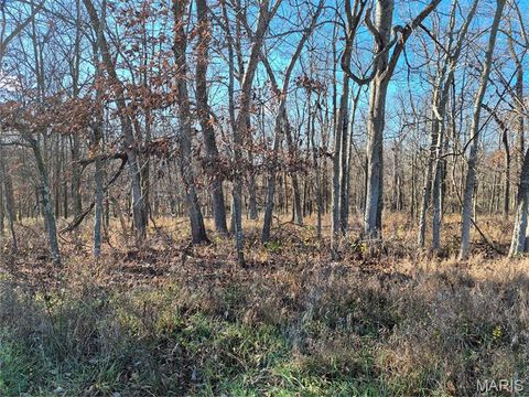 Tiny photo for 0 County Road 197 - Tract 9 (16+/- Acres), Williamsburg, MO 63388 (MLS # 26022979)