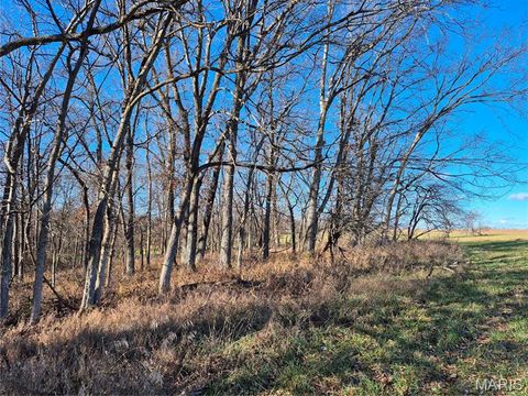 Tiny photo for 0 County Road 197 - Tract 9 (16+/- Acres), Williamsburg, MO 63388 (MLS # 26022979)