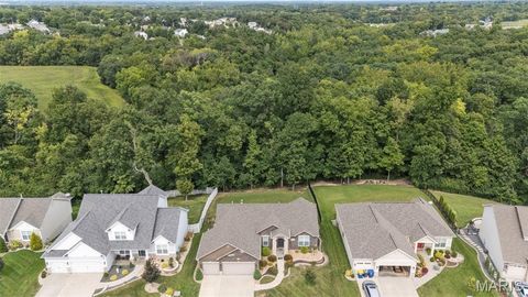 1030 Timber Bluff Drive Wentzville MO 63385