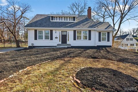 Photo of 14 Armin Lane, Webster Groves, MO 63119 (MLS # 26008862)