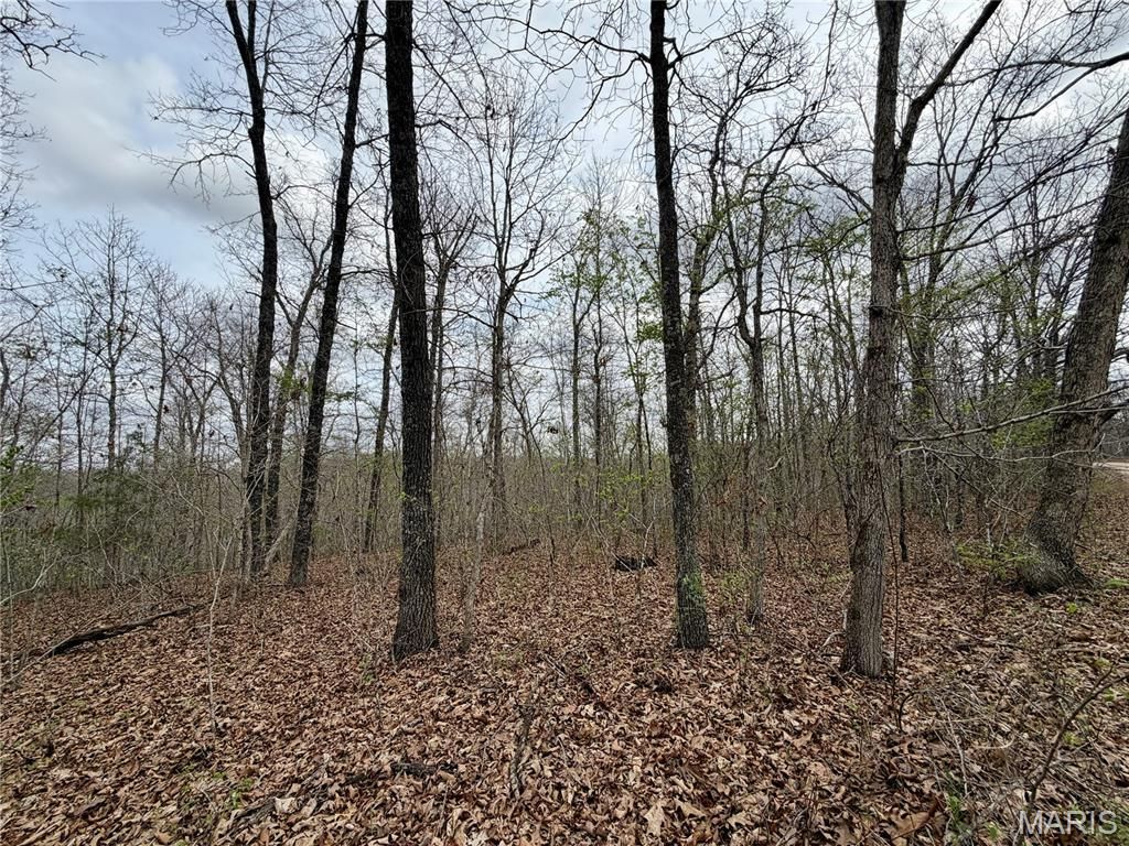 Photo of 0 TBD CR 4280, Salem, MO 65560 (MLS # 26018236)