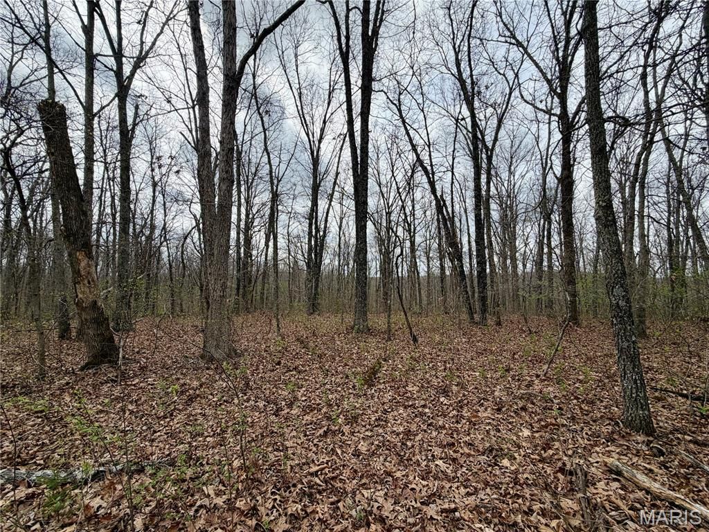 Photo of 0 TBD CR 4280, Salem, MO 65560 (MLS # 26018236)