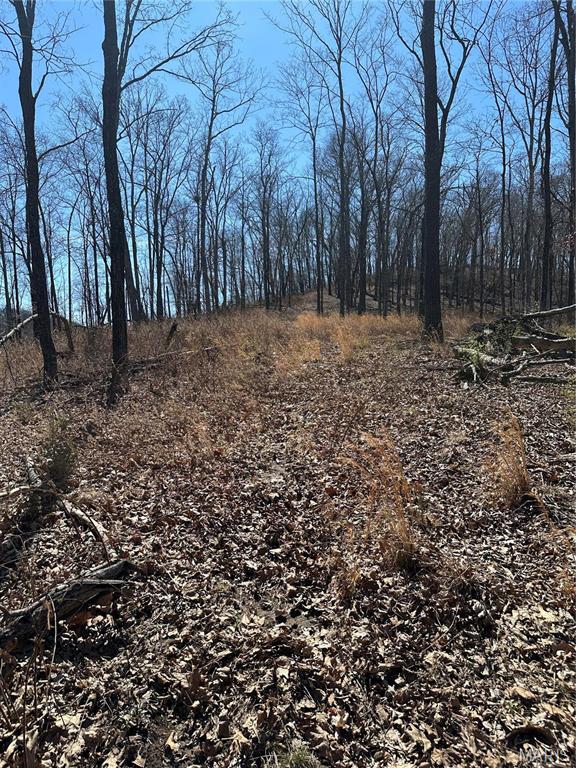 Barnhart, Missouri 63012, United States, ,Land,Active,53726