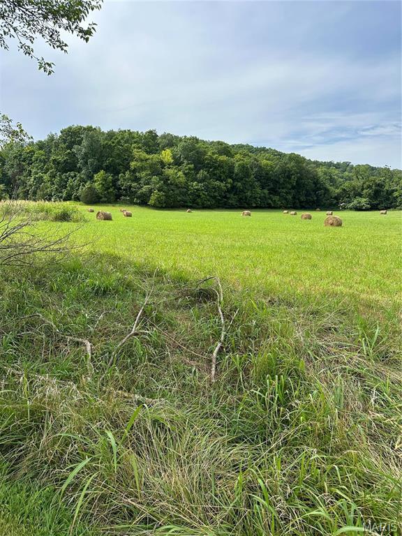 Barnhart, Missouri 63012, United States, ,Land,Active,53726