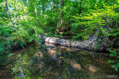 Tiny photo for 115 Madison Wayne 9305, Cascade, MO 63655 (MLS # 26035818)
