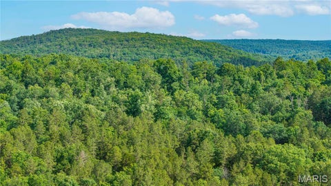 Tiny photo for 115 Madison Wayne 9305, Cascade, MO 63655 (MLS # 26035818)