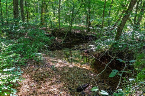 Tiny photo for 115 Madison Wayne 9305, Cascade, MO 63655 (MLS # 26035818)