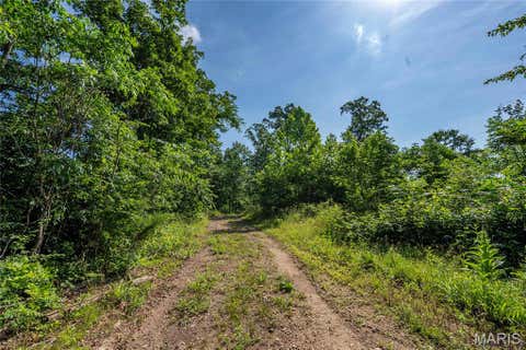 Tiny photo for 115 Madison Wayne 9305, Cascade, MO 63655 (MLS # 26035818)