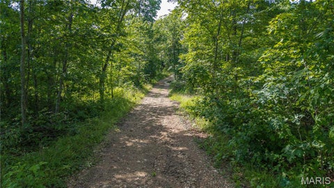 Tiny photo for 115 Madison Wayne 9305, Cascade, MO 63655 (MLS # 26035818)