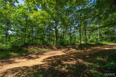 Tiny photo for 115 Madison Wayne 9305, Cascade, MO 63655 (MLS # 26035818)