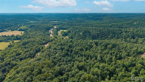 Tiny photo for 115 Madison Wayne 9305, Cascade, MO 63655 (MLS # 26035818)