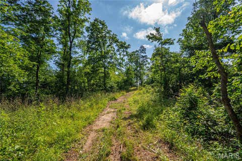 Tiny photo for 115 Madison Wayne 9305, Cascade, MO 63655 (MLS # 26035818)