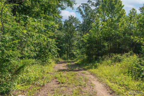 Tiny photo for 115 Madison Wayne 9305, Cascade, MO 63655 (MLS # 26035818)