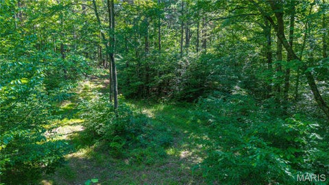 Tiny photo for 115 Madison Wayne 9305, Cascade, MO 63655 (MLS # 26035818)