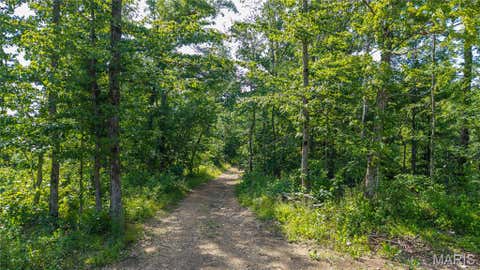 Tiny photo for 115 Madison Wayne 9305, Cascade, MO 63655 (MLS # 26035818)