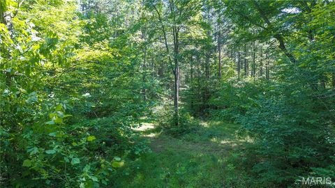 Tiny photo for 115 Madison Wayne 9305, Cascade, MO 63655 (MLS # 26035818)