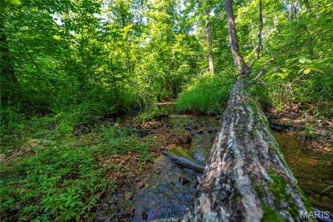 Tiny photo for 115 Madison Wayne 9305, Cascade, MO 63655 (MLS # 26035818)