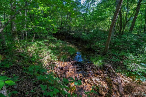 Tiny photo for 115 Madison Wayne 9305, Cascade, MO 63655 (MLS # 26035818)