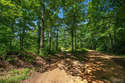 Tiny photo for 115 Madison Wayne 9305, Cascade, MO 63655 (MLS # 26035818)
