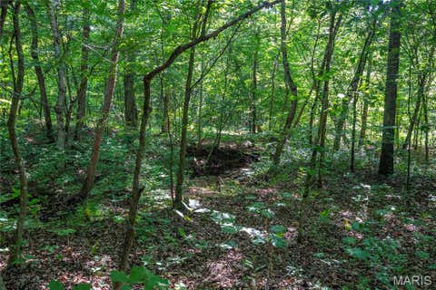 Tiny photo for 115 Madison Wayne 9305, Cascade, MO 63655 (MLS # 26035818)