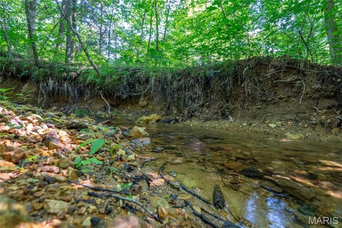 Tiny photo for 115 Madison Wayne 9305, Cascade, MO 63655 (MLS # 26035818)