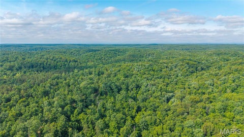 Tiny photo for 115 Madison Wayne 9305, Cascade, MO 63655 (MLS # 26035818)