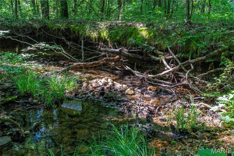 Tiny photo for 115 Madison Wayne 9305, Cascade, MO 63655 (MLS # 26035818)
