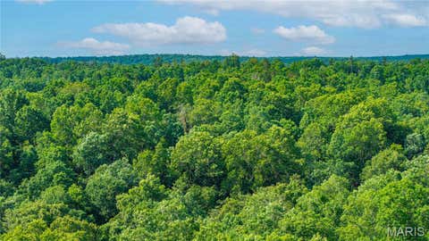 Tiny photo for 115 Madison Wayne 9305, Cascade, MO 63655 (MLS # 26035818)