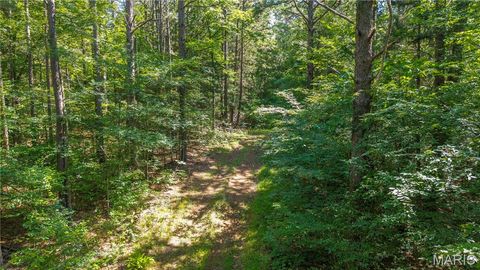 Tiny photo for 115 Madison Wayne 9305, Cascade, MO 63655 (MLS # 26035818)