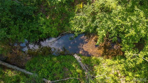 Tiny photo for 115 Madison Wayne 9305, Cascade, MO 63655 (MLS # 26035818)