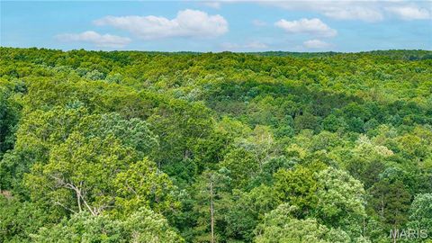 Tiny photo for 115 Madison Wayne 9305, Cascade, MO 63655 (MLS # 26035818)