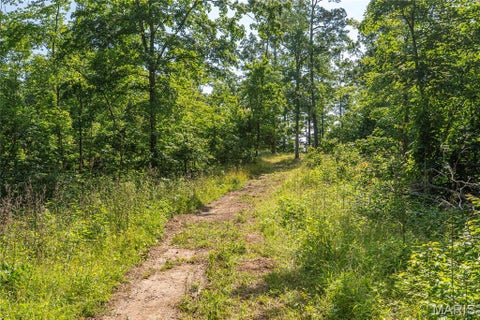 Tiny photo for 115 Madison Wayne 9305, Cascade, MO 63655 (MLS # 26035818)