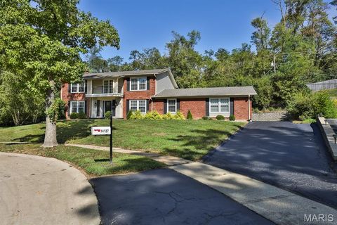 Tiny photo for 14327 Bramblewood Court, Chesterfield, MO 63017 (MLS # 25066285)