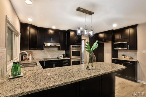 Tiny photo for 14327 Bramblewood Court, Chesterfield, MO 63017 (MLS # 25066285)