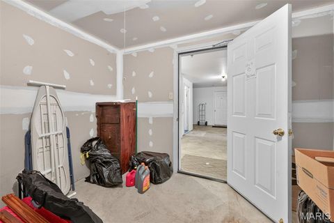 Tiny photo for 1315 Holgate Drive #B, Ballwin, MO 63021 (MLS # 25072440)