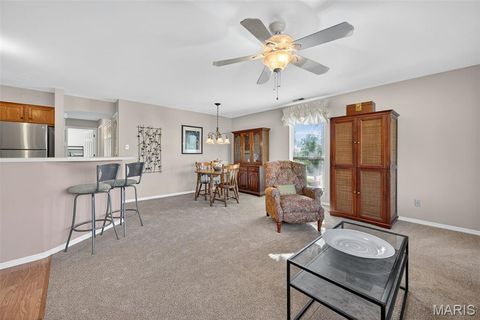 Tiny photo for 1315 Holgate Drive #B, Ballwin, MO 63021 (MLS # 25072440)