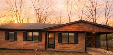 113 Watson Street Fredericktown MO 63645