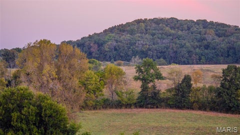 Tiny photo for 22 Gnade Rd, Elsberry, MO 63343 (MLS # 26063470)