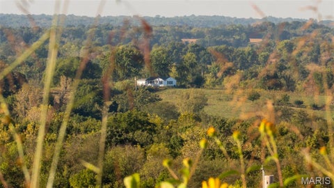 Tiny photo for 22 Gnade Rd, Elsberry, MO 63343 (MLS # 26063470)