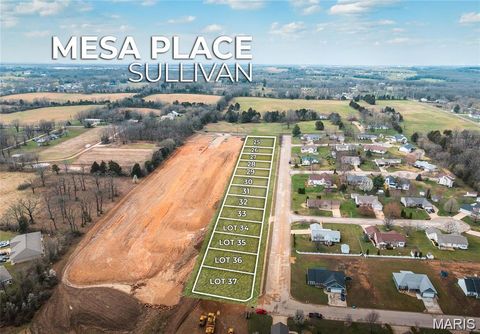 Tiny photo for 912 Mesa Drive, Sullivan, MO 63080 (MLS # 26030691)