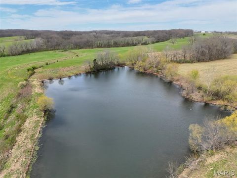 Tiny photo for 00 Pike 227, Eolia, MO 63344 (MLS # 26020974)
