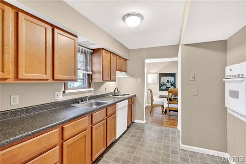 Tiny photo for 450 Forest Green Drive, Webster Groves, MO 63119 (MLS # 25066483)