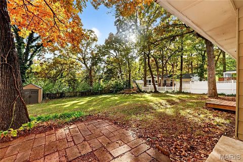 Tiny photo for 450 Forest Green Drive, Webster Groves, MO 63119 (MLS # 25066483)
