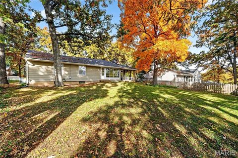 Tiny photo for 450 Forest Green Drive, Webster Groves, MO 63119 (MLS # 25066483)
