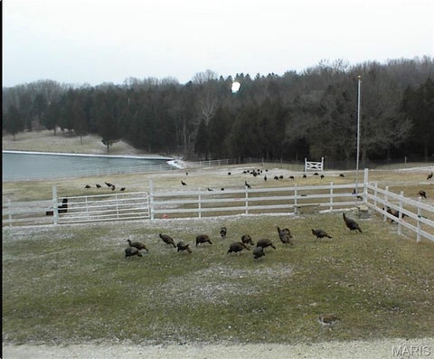 Tiny photo for 10954 Tom Frost Road, Catawissa, MO 63015 (MLS # 26056367)