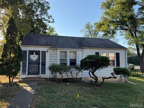 Photo of 8 Oakwood Avenue, Webster Groves, MO 63119 (MLS # 25063878)