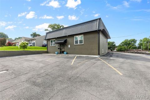 Tiny photo for 1917 William Street, Cape Girardeau, MO 63703 (MLS # 26018566)