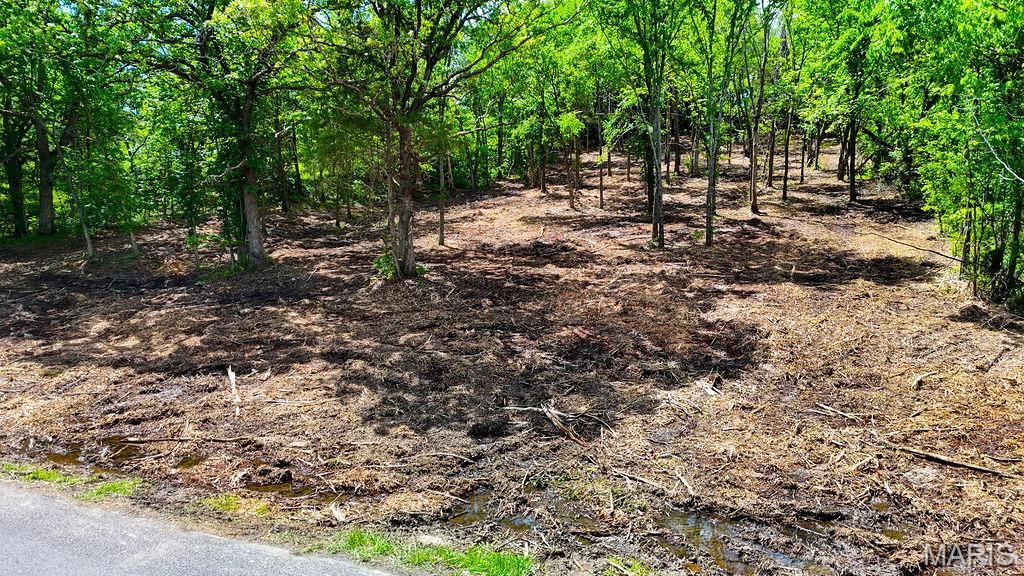 Photo of 1 Hencher Road, De Soto, MO 63020 (MLS # 26028528)