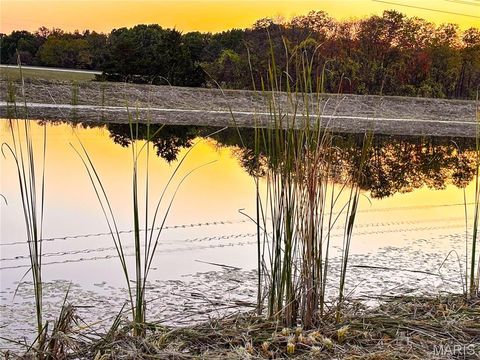 Tiny photo for 36 Acres Sunset Trails, Warrenton, MO 63383 (MLS # 25069996)
